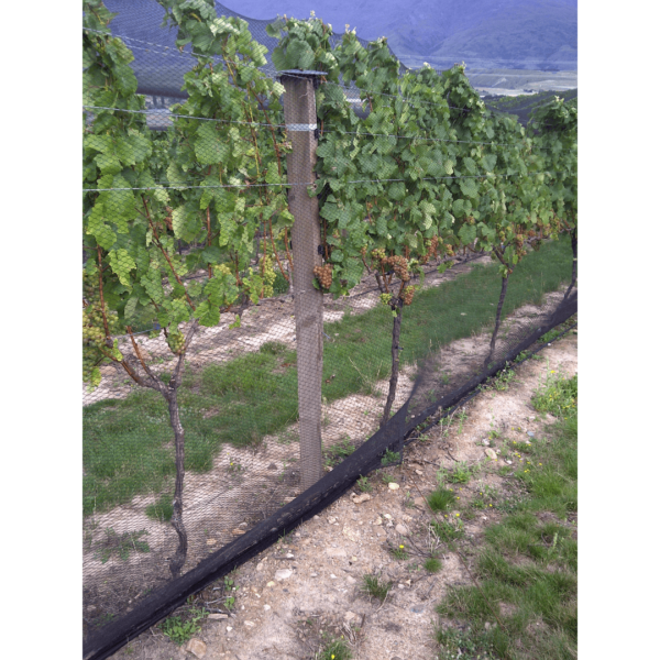 multi row netting vineyard netting grapes